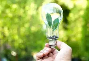 mano di una persona tiene una lampadina con all'interno delle foglie