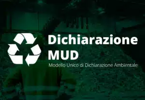 grafica dichiarazione mud