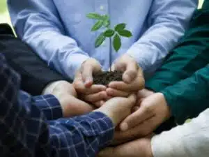 diverse persone tengono una piccola pianta tra le mani