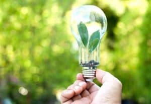 mano di una persona tiene una lampadina con all'interno delle foglie
