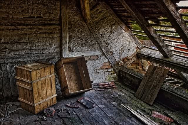 dove-buttare-il-legno