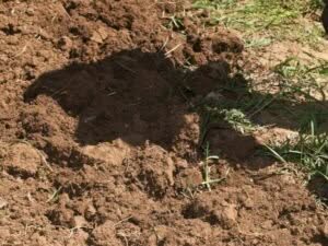 buco nel terreno per lavori di giardinaggio