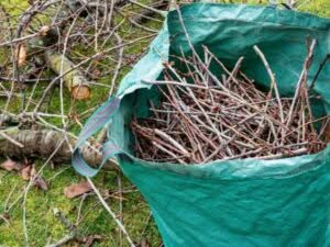 Scopri di più sull'articolo Dove buttare gli scarti di potatura