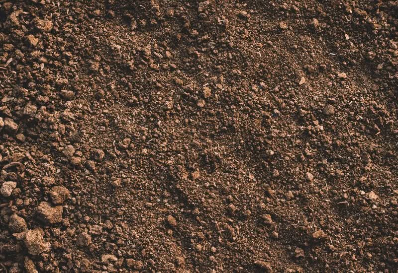 Al momento stai visualizzando Dove buttare la terra