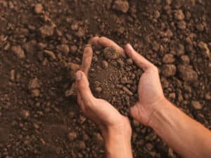 mani tengono una piccola quantità di terra mani tengono una piccola quantità di terra